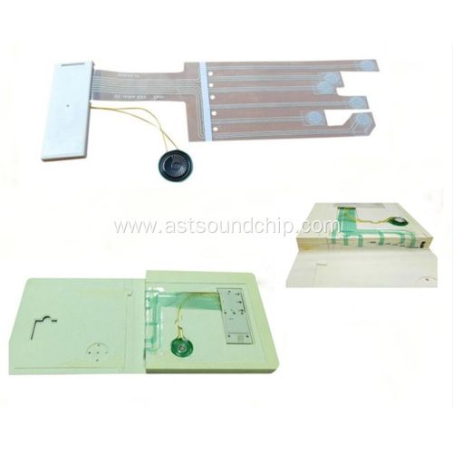 Sound module for children book ,sound module for newspaper,sound chip,voice module for brochure